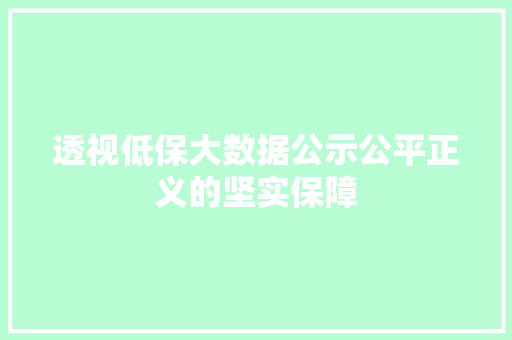 透视低保大数据公示公平正义的坚实保障 透视低保大数据公示公平正义的坚实保障