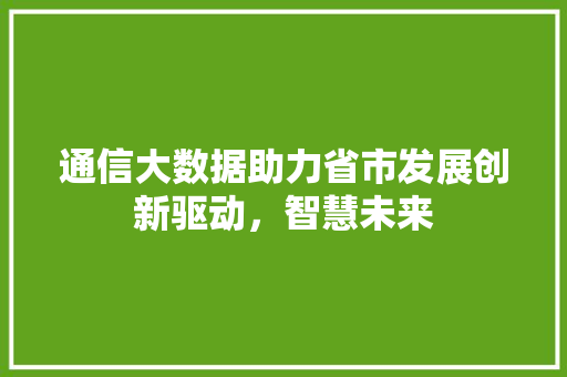通信大数据助力省市发展创新驱动，智慧未来