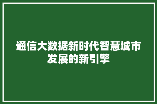 通信大数据新时代智慧城市发展的新引擎