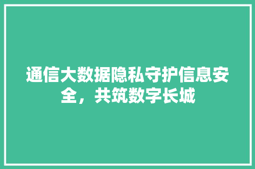 通信大数据隐私守护信息安全，共筑数字长城