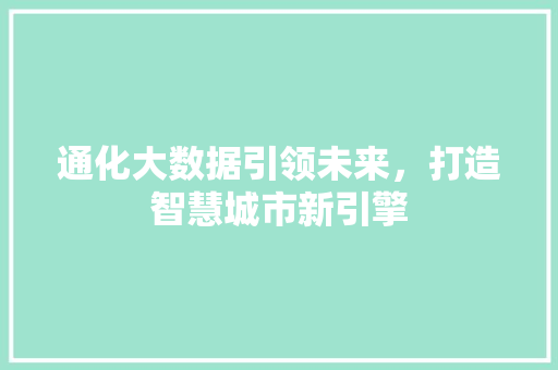 通化大数据引领未来，打造智慧城市新引擎