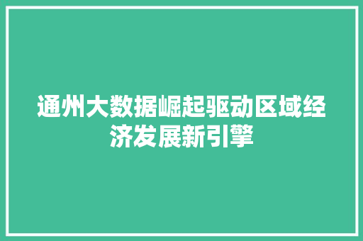 通州大数据崛起驱动区域经济发展新引擎