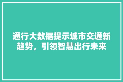 通行大数据提示城市交通新趋势，引领智慧出行未来