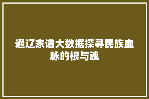 通辽家谱大数据探寻民族血脉的根与魂 通辽家谱大数据探寻民族血脉的根与魂