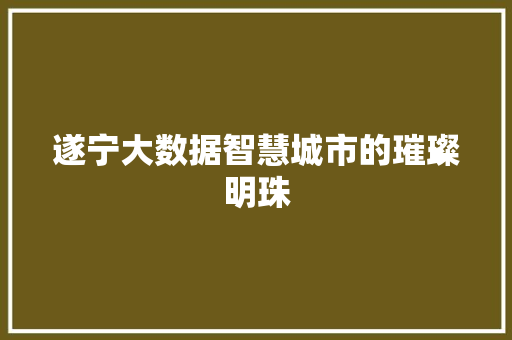 遂宁大数据智慧城市的璀璨明珠 遂宁大数据智慧城市的璀璨明珠