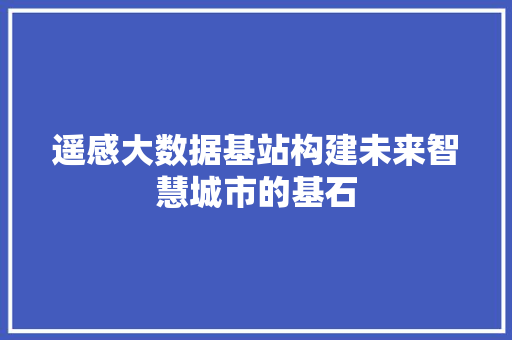 遥感大数据基站构建未来智慧城市的基石