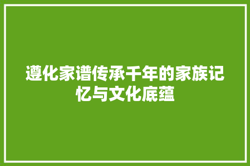 遵化家谱传承千年的家族记忆与文化底蕴 编程语言