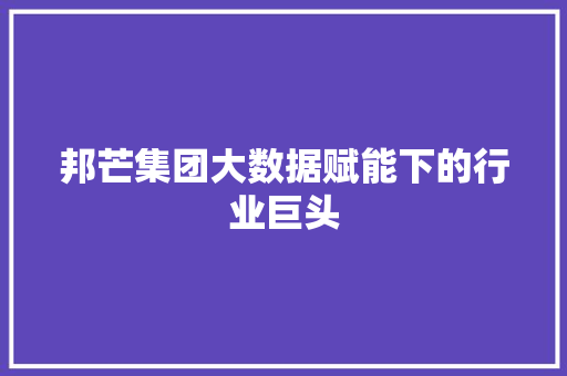 邦芒集团大数据赋能下的行业巨头 编程语言