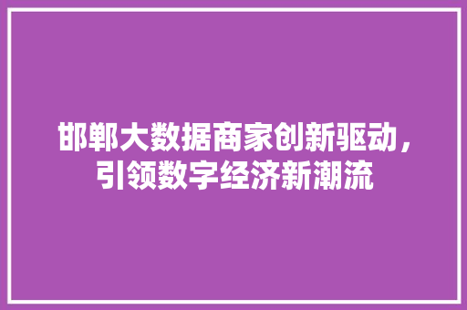 邯郸大数据商家创新驱动,引领数字经济新潮流 邯郸大数据商家创新驱动,引领数字经济新潮流