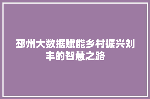 邳州大数据赋能乡村振兴刘丰的智慧之路 邳州大数据赋能乡村振兴刘丰的智慧之路