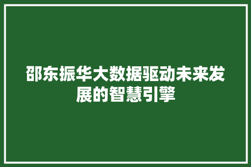 邵东振华大数据驱动未来发展的智慧引擎