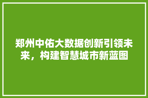 郑州中佑大数据创新引领未来，构建智慧城市新蓝图