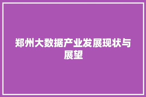 郑州大数据产业发展现状与展望