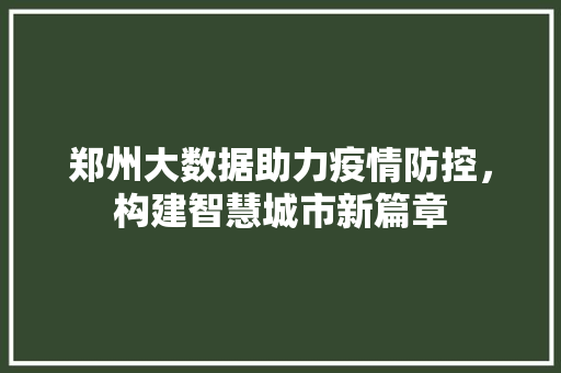 郑州大数据助力疫情防控，构建智慧城市新篇章