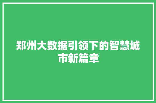 郑州大数据引领下的智慧城市新篇章