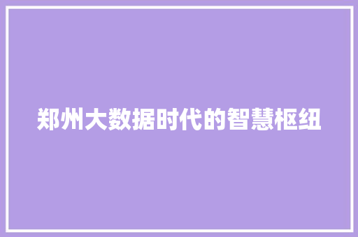 郑州大数据时代的智慧枢纽