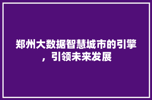 郑州大数据智慧城市的引擎，引领未来发展