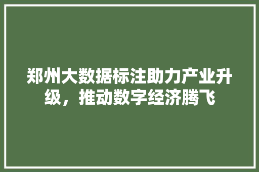 郑州大数据标注助力产业升级，推动数字经济腾飞