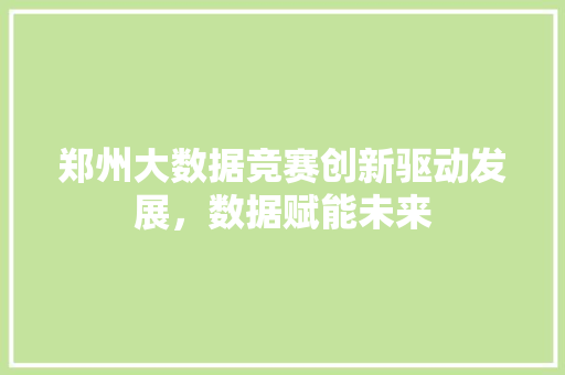 郑州大数据竞赛创新驱动发展，数据赋能未来
