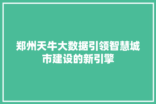 郑州天牛大数据引领智慧城市建设的新引擎