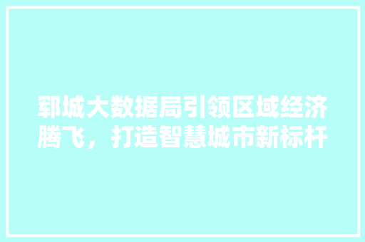 郓城大数据局引领区域经济腾飞，打造智慧城市新标杆