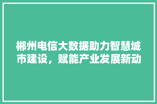 郴州电信大数据助力智慧城市建设，赋能产业发展新动能