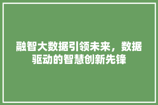 融智大数据引领未来，数据驱动的智慧创新先锋