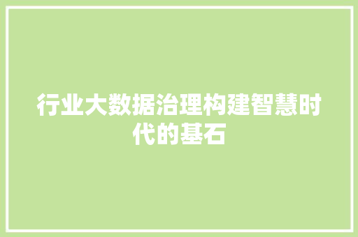行业大数据治理构建智慧时代的基石