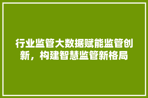 行业监管大数据赋能监管创新,构建智慧监管新格局 行业监管大数据赋能监管创新,构建智慧监管新格局