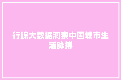 行踪大数据洞察中国城市生活脉搏 行踪大数据洞察中国城市生活脉搏