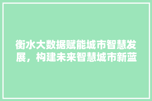 衡水大数据赋能城市智慧发展，构建未来智慧城市新蓝图