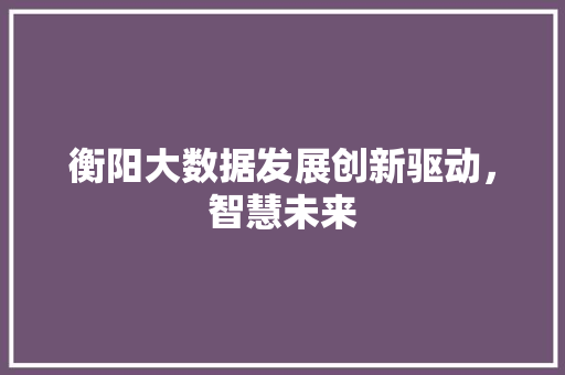 衡阳大数据发展创新驱动，智慧未来