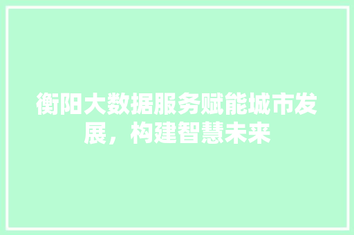 衡阳大数据服务赋能城市发展，构建智慧未来