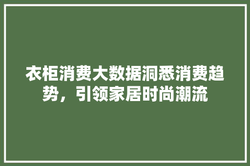 衣柜消费大数据洞悉消费趋势,引领家居时尚潮流 编程语言 衣柜消费大数据洞悉消费趋势,引领家居时尚潮流 编程语言