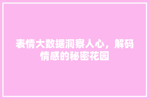 表情大数据洞察人心,解码情感的秘密花园 电脑故障维修 表情大数据洞察人心,解码情感的秘密花园 电脑故障维修