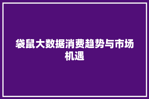 袋鼠大数据消费趋势与市场机遇