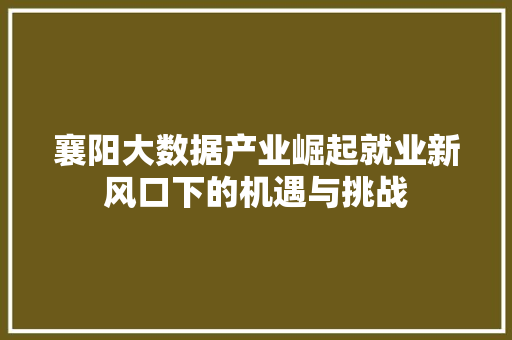 襄阳大数据产业崛起就业新风口下的机遇与挑战