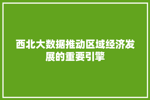 西北大数据推动区域经济发展的重要引擎