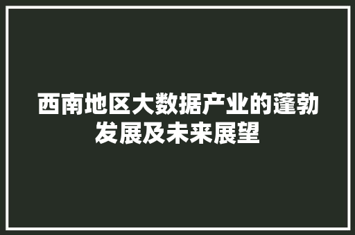 西南地区大数据产业的蓬勃发展及未来展望 西南地区大数据产业的蓬勃发展及未来展望