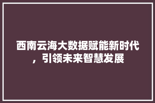 西南云海大数据赋能新时代，引领未来智慧发展