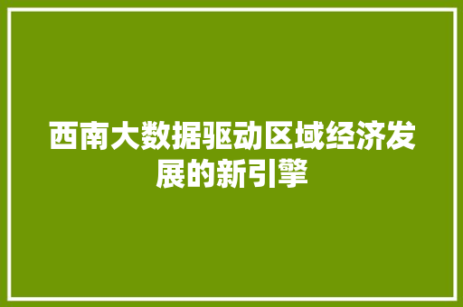 西南大数据驱动区域经济发展的新引擎