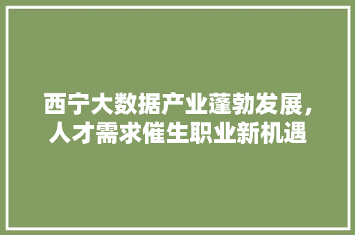 西宁大数据产业蓬勃发展，人才需求催生职业新机遇