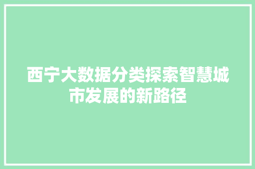 西宁大数据分类探索智慧城市发展的新路径