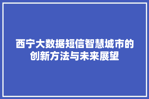 西宁大数据短信智慧城市的创新方法与未来展望