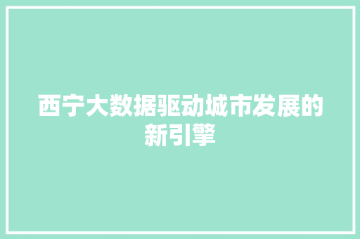 西宁大数据驱动城市发展的新引擎