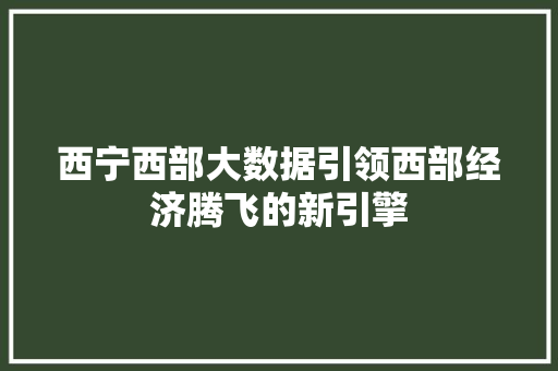 西宁西部大数据引领西部经济腾飞的新引擎