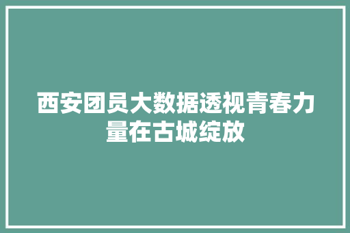 西安团员大数据透视青春力量在古城绽放