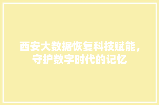 西安大数据恢复科技赋能，守护数字时代的记忆