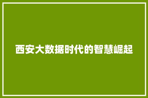 西安大数据时代的智慧崛起