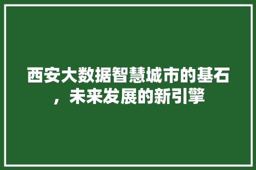 西安大数据智慧城市的基石,未来发展的新引擎 西安大数据智慧城市的基石,未来发展的新引擎